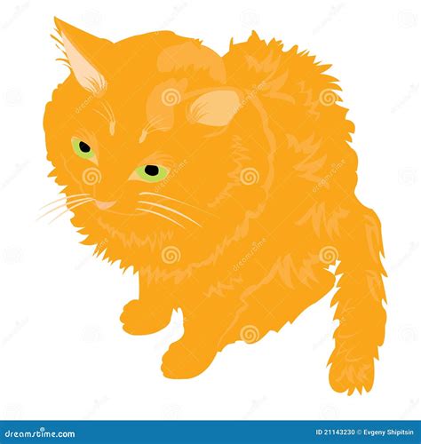 illustration redhead cat stock vector illustration of beautiful 21143230
