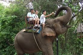 What does ibn battuta think of taghaza ? Human modes of travel - Types of Travel