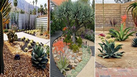 Top 70 Best Desert Landscaping Ideas Diy Garden Gardening Ace