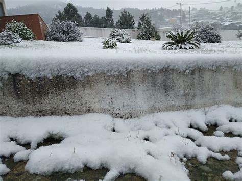 Dos 18 distritos portugueses, é frequente nevar em cinco deles: Cai neve em Portugal! As imagens de um país vestido de branco