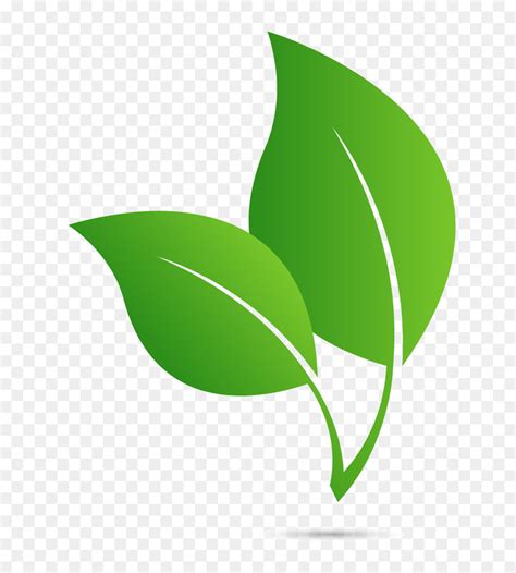 New logo & sweater | toronto maple leafs the maple leaf is an iconic symbol of our country, toronto and our hockey club. Green Leaf Logo png download - 752*1000 - Free Transparent ...