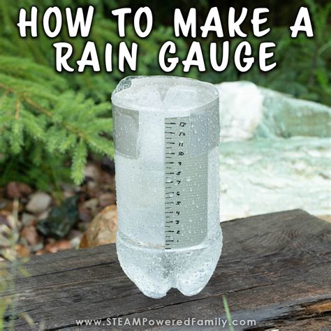 How To Make A Rain Gauge Super Easy And Fun Weather Project