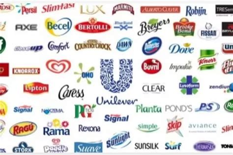 Ini Dia Daftar Produk Unilever Yang Terpopuler Dan Laris Di Indonesia