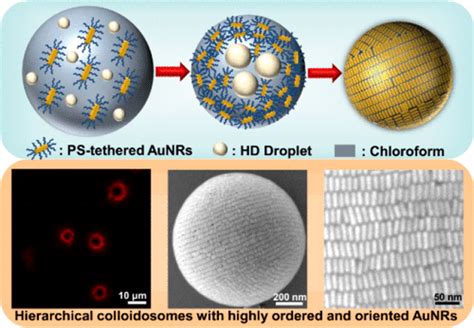 Hierarchical Colloidosomes With A Highly Ordered And Oriented Arrangement Of Gold Nanorods Via