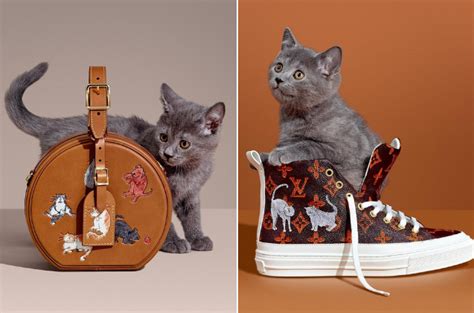 Shop men's louis vuitton cases. New Louis Vuitton Collection Is the Cat's Meow