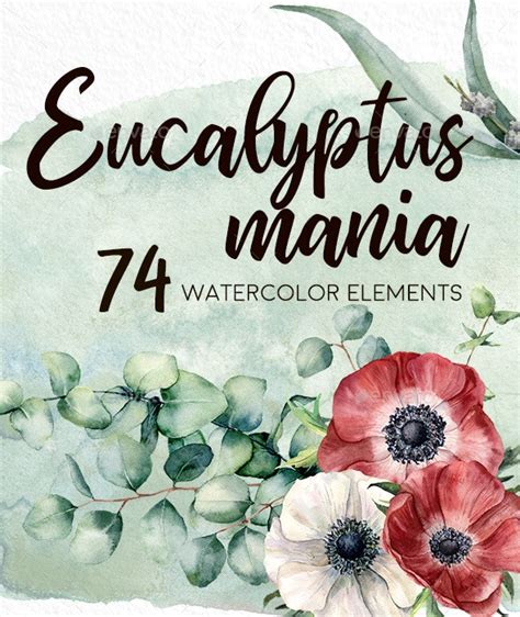 Eucalyptus Mania Watercolor By Yderbisheva Graphicriver