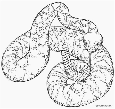 Well, look no further because in this… Free Printable Snake Coloring Pages For Kids