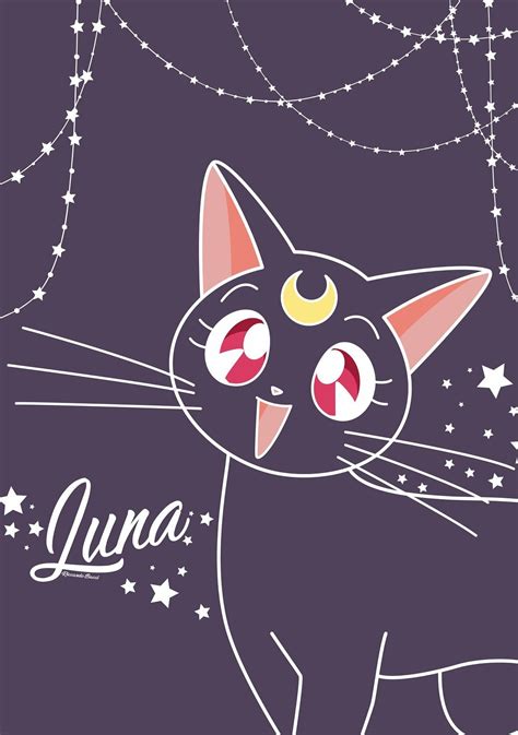 Pin By Liv Data On Moon Art Sailor Moon Cat Sailor Moon Luna Sailor