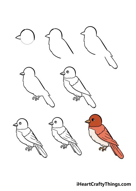 How To Draw A Bird Step By Step Easy Drawing Lesson F