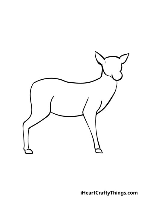 Deer Drawing How To Draw A Deer Step By Step