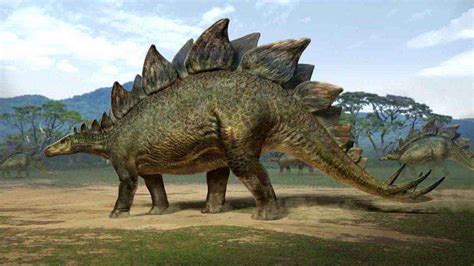 Stegosauro Trovata Una Nuova Specie La Più Antica