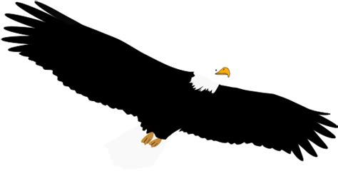 Best free png gambar burung terbang , hd gambar burung terbang png images, png png file easily with one click free hd png images, png design and transparent background with high thank you for downloading. Download Gambar Elang - Koleksi Gambar HD