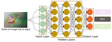 Basic Introduction To Convolutional Neural Network In Deep Learning