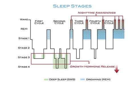 Stages Of Sleep – What To Know About Non-Rem and REM Sleep Cycles
