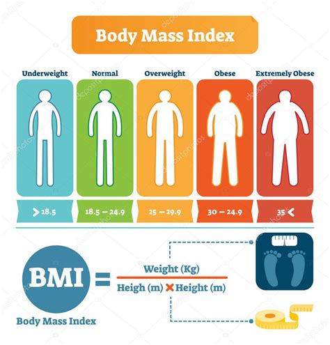 Body Mass Index Table With Bmi Formula Example Health Care And Fitness Informative Poster