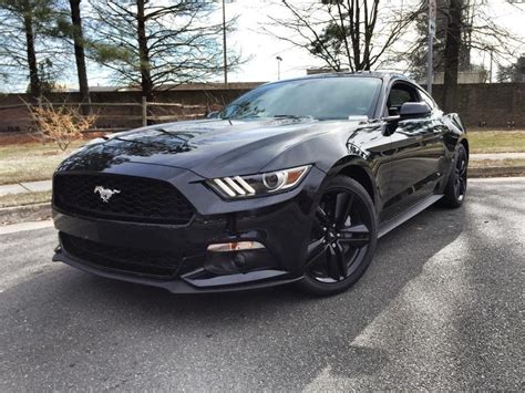 Ford Black 2016 Ford Mustang Ecoboost Photos 2016 Ford Mustang