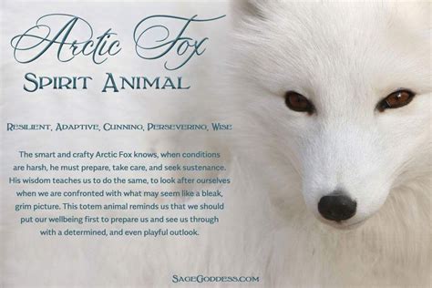Arctic Fox Spirit | Fox spirit, Spirit animal fox, Spirit ...