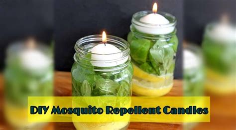 Maybe you would like to learn more about one of these? DO-IT-YOURSELF (DIY) Mosquito Repellent Candles | Diy mosquito repellent candle