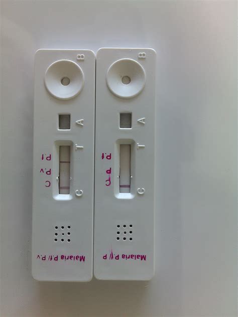 A rapid covid test is a type of diagnostic test. Malaria Antigen Rapid Test at Rs 17/piece | Malaria Kit ...
