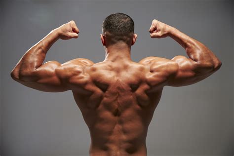 8 Things That Can Not Be Tolerated During The Back Muscles