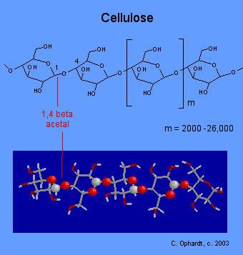 How cellulose is used in food. Application Hydroxy propyl methyl cellulose in Insulation ...