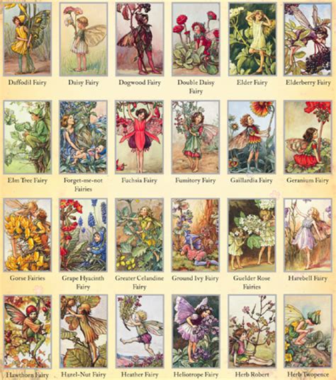Flower Fairies I Loved These Books And Want To Read Them With My Niecey