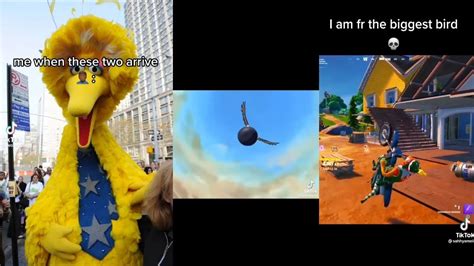 Im Da Biggest Bird Meme Compilation Youtube