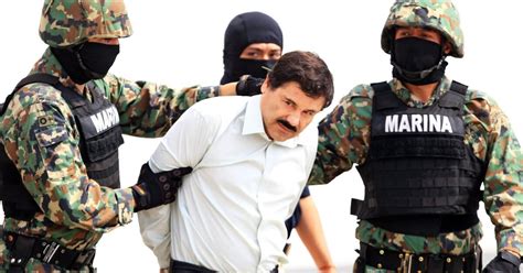 Sinaloa Cartel Thrived Whether Boss Was In Prison Or On The Lam Los