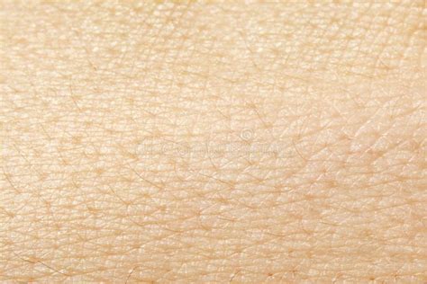 Real Human Skin Texture