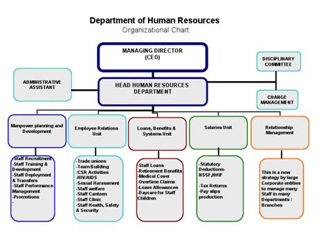 Human Resource Department Org Chart Human Resources Labor