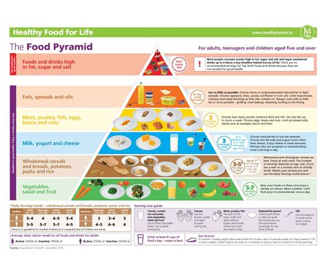 Conheça A Pirâmide Alimentar Funcional — Andreia Torres