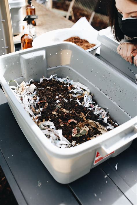 Vermicomposting 101 How To Create And Maintain A Simple Compost Bin