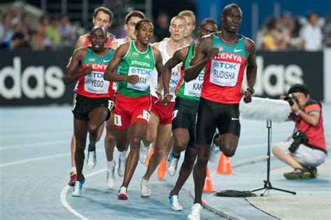 May 22, 2021 · nairobi: 800 metres - Wikidata