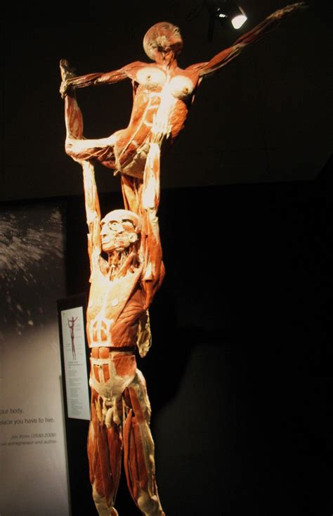 When the body of a powerful businesswoman disappears from the morgue, the inspector in charge hunts for the truth. Well Hello Saul: Body Worlds Vital