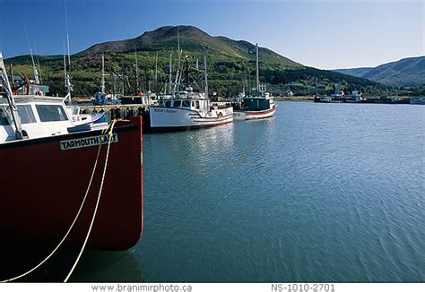 Image Fishing Boats In Harbour Pleasant Bay Cape Breton