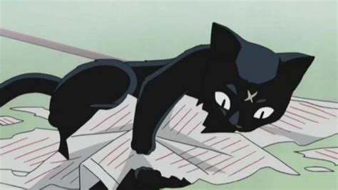 70 Best Anime Cats Of All Time The Ultimate Feline List