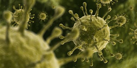 Common Cold Virus Improves Response With Immunotherapy In Advanced