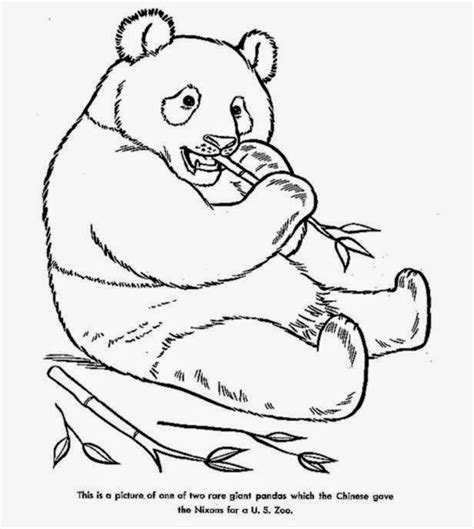 Black And White Wild Animal Coloring Pages
