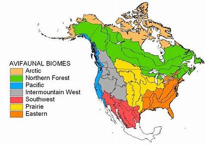 Biomes America Canada North Forest Northern Region