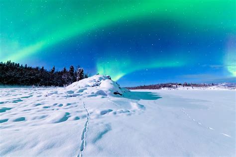 10 Spots In Alaska To See The Dazzling Northern Lights Connollycove