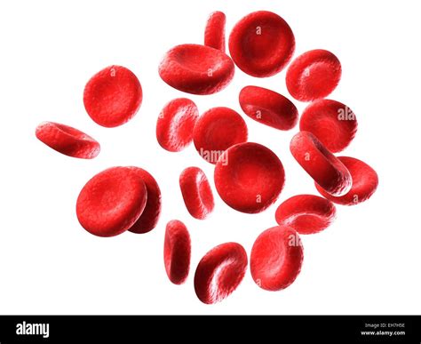 Human Red Blood Cells Illustration Stock Photo Alamy