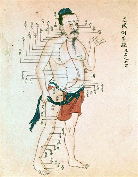Acupuncture Chart With A Series Of Points Indicated On The Figure Of A