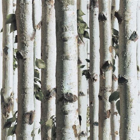 Muriva Bluff Forest Wood Silver Birch Tree Bark Wallpaper J21517