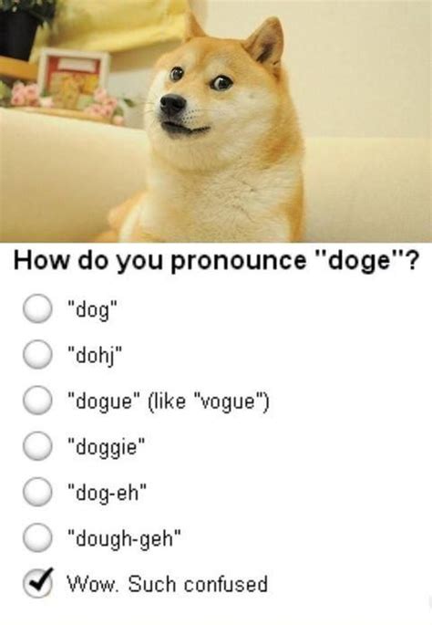 The 25 Best Doge Ideas On Pinterest Funny Doge Doge Meme And
