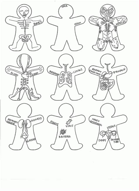 College Anatomy Coloring Pages