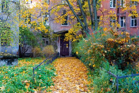 View Of Alley With City House Autumn Tree Fallen Golden Leaves On