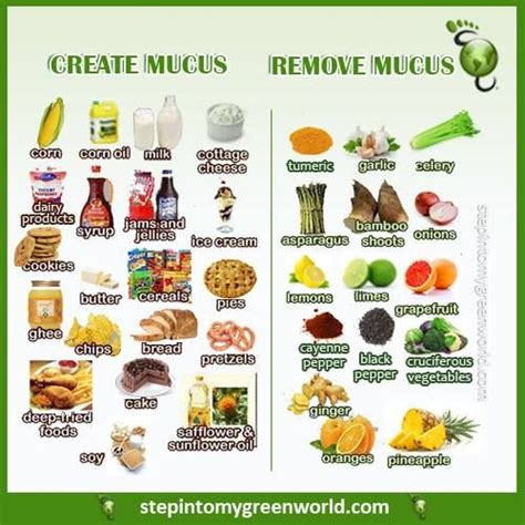 Here are 21 foods that can trigger its production, as well as 21 foods that can inhibit it. Mucus Forming Foods, Mucus Removing Foods from Step In2 My ...
