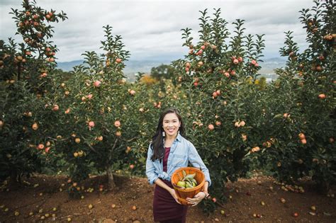 Apple Picking at Carter Mountain Orchard - Color & Chic
