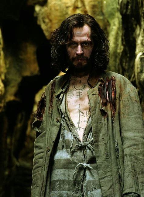 Sirius Black Harry Potter Film Harry Potter Characters Harry Potter