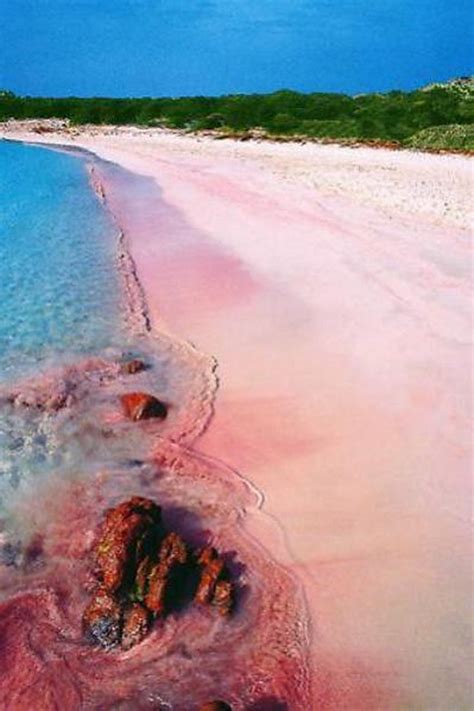 Pink Beach Sardinia Italy Shah Nasir Travel